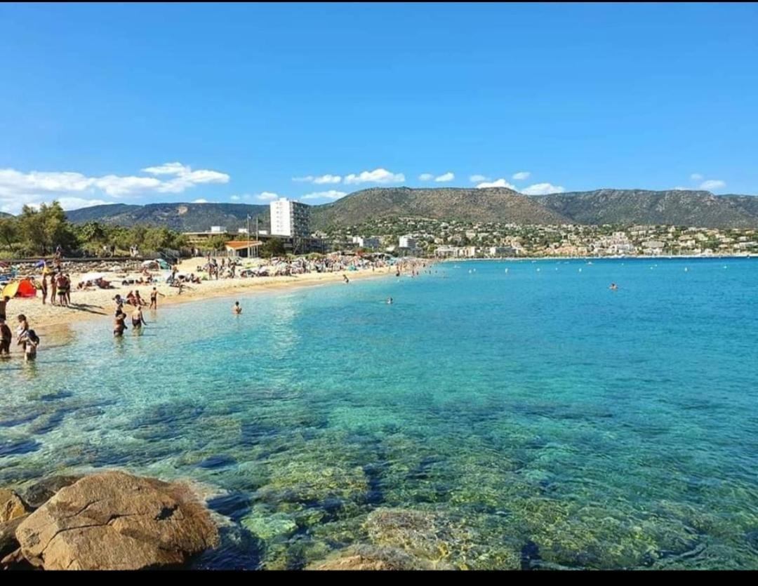 Horizon 5 Pied Dans L'eau