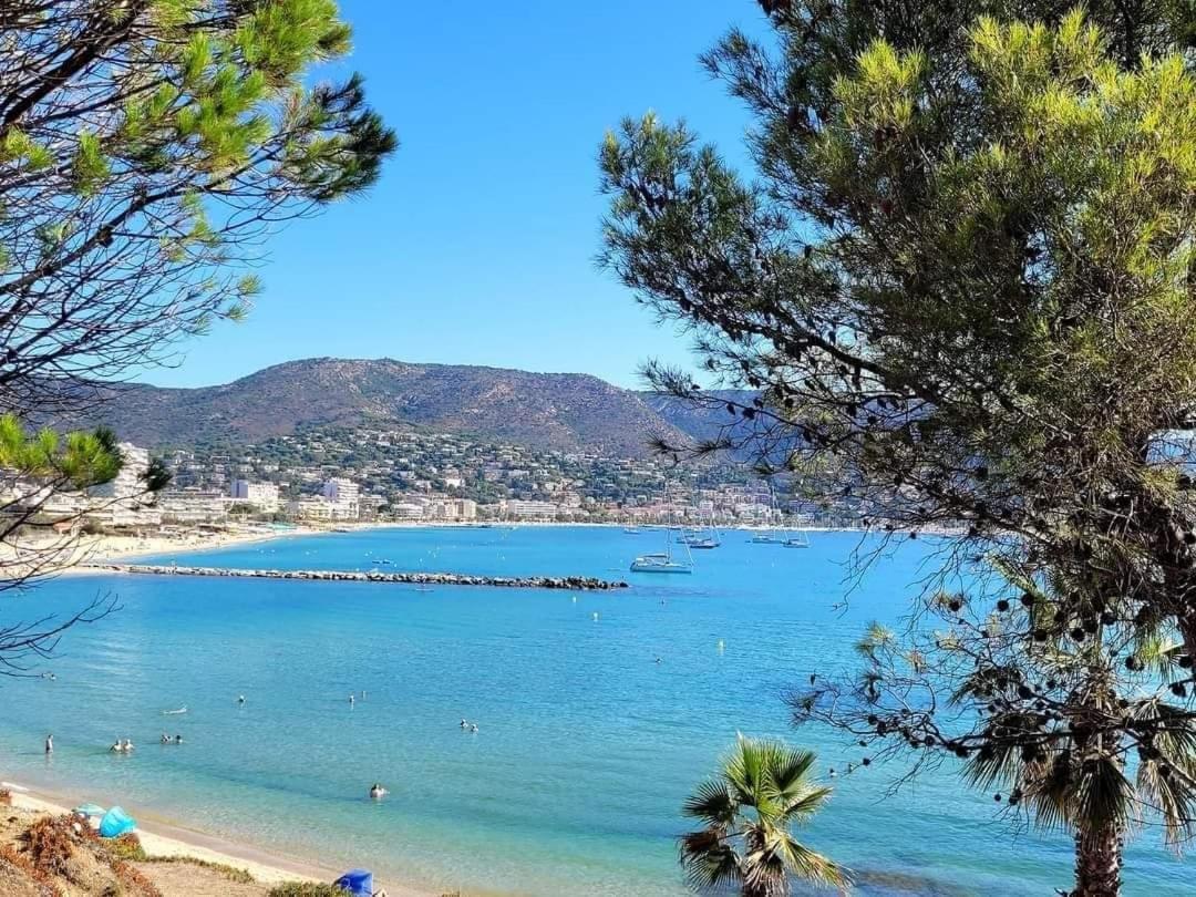 Horizon 5 Pied Dans L'eau *