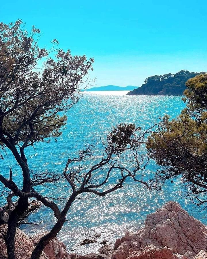 Horizon 5 Pied Dans L'eau Le Lavandou